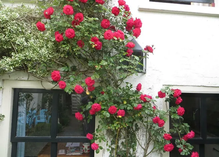 Apple Tree Cottage - Charming Canal Home In Our Idyllic Garden